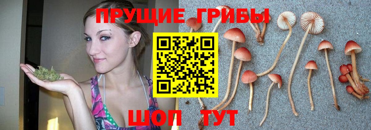 Фурманов  Галлюциногенные грибы ЛСД  Вход с VPN 